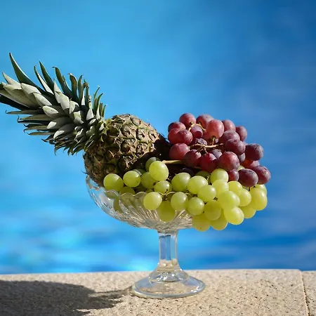 Villa Cozy Paradiso With Pool Immersed In The Greenery *